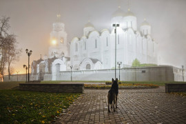 Владимир: туман и улица