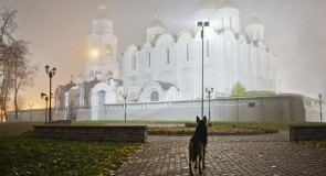 Владимир: туман и улица