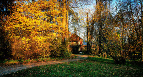 д. Орехово, Владимирская обл., Собинский р-он