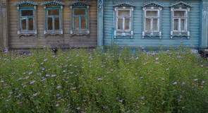 деревня Митькино, Судогодский р-н