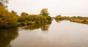 р. Ушна в с. Борисоглеб, Муромский р-н