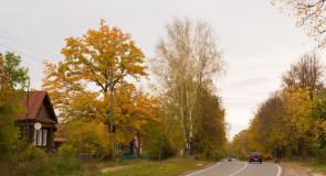 с. Фоминки, Гороховецкий р-н