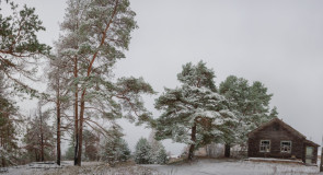 Вот и пришла настоящая зима! (Вязниковский р-, д. Палково)