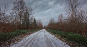 Дорога на озеро Великое, Вязниковский район