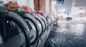 Замороженные цветы когда-нибудь видели?