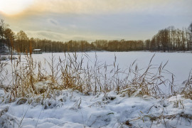 Зима вступает в свои права (загородный парк Владимира)