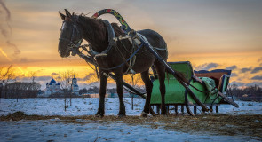 Конные прогулки по Боголюбовскому лугу на закате