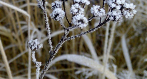 Крутец. Александровский район