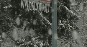 Ледяной Александров