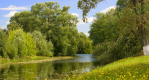 Летний Юрьев-Польский, р. Колокша