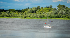 Лето. Ока. Муром