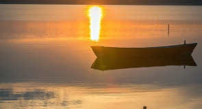 Одинокая утка и закат