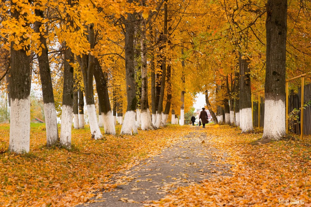 Осенью в Гороховце