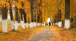 Осенью в Гороховце