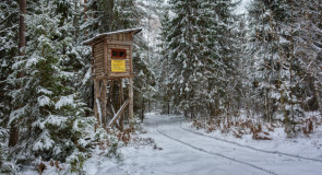 Охотничий домик, Вязниковский район