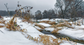 Прогулка в серый день за черёмушки, г. Александров