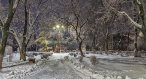 Сквер в Советском переулке, г. Александров