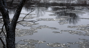 Шуга на реке Клязьма. Ковровский район
