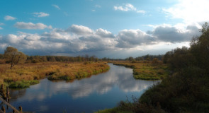 д. Бережки, р. Судогда, Судогодский р-н