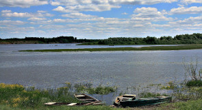 д. Большой Санчур, Меленковский райнон
