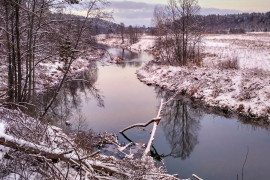 деревня Лучки, Владимирская область