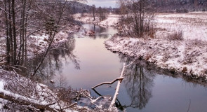 деревня Лучки, Владимирская область