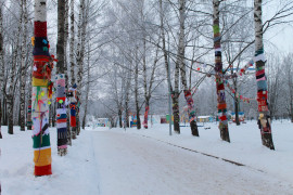 Морозная прогулка по парку Дружба (начало декабря 2016)
