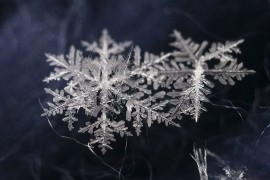 Зимнее волшебство: Новогодние снежинки