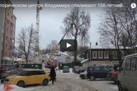 В историческом центре Владимира спиливают 150-летний вяз