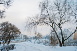 Владимир, декабрьский и снежный