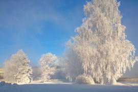 Завораживающая красота настоящей русской зимы на Владимирской земле. Пойма реки Клязьма.