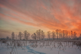 Зимний закат в Вязниковском районе