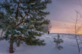 Зимняя сказка в Вязниковском районе