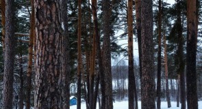 Конец декабря в Красной Горбатке