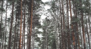 Красная Горбатка, Заречье