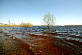 Разлив реки Уводь в селе Большие Всегодичи Ковровского района