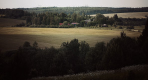 деревня Брод, Собинский р-н