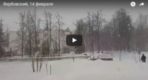 Вербовский, 14 февраля