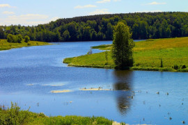 Дворец великой княгини Марии Шварновны на реке Содышка