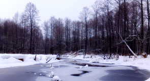 Река Нерехта, пос. Мелехово ковровского район