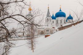 Февраль 2017 в Боголюбово