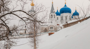 Февраль 2017 в Боголюбово
