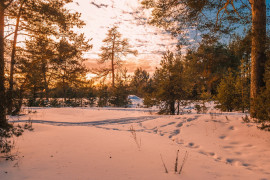 Февральский закат (в загородном парке Владимира)