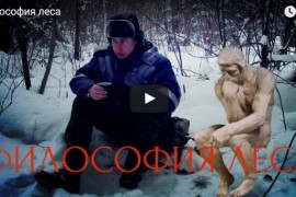 Прогулка по зимнему лесу Меленковского района