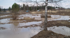 близ г. Карабаново, снт Майские