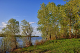 Весенние пейзажи Муромского района