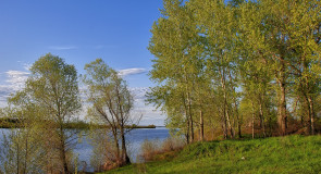 Весенние пейзажи Муромского района
