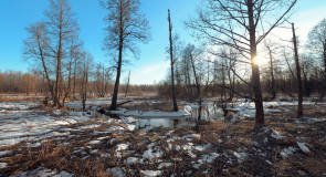 Во Владимирской области есть несколько малых рек с названием Каменка