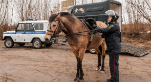 Конная полиция, патрулирование СНТ (апрель, Владимир)