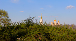 Май 2017 в Патриаршем саду Владимира